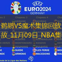 11月09日NBA常规赛 鹈鹕 - 魔术 精彩镜头