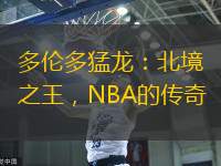 多伦多猛龙：北境之王，NBA的传奇