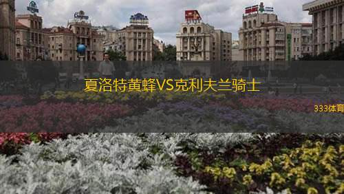 夏洛特黄蜂VS克利夫兰骑士